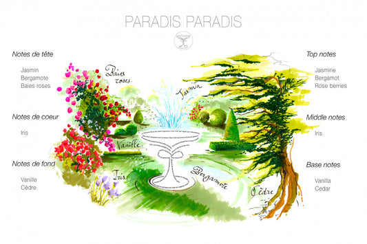 Paradis Paradis