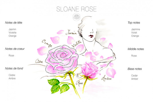 Sloane Rose