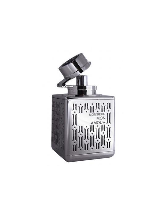 Monsieur Mon Amour